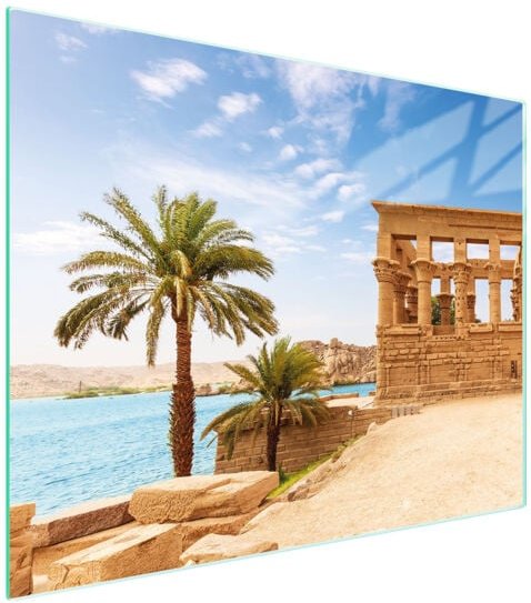 Glasschneidebrett 52x40 Palmen