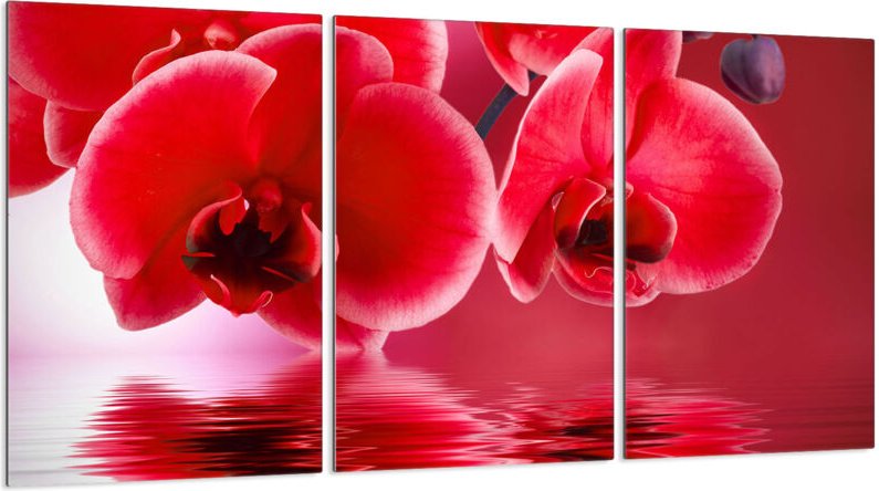 Glasschutzplatte für Herd 3x30x52