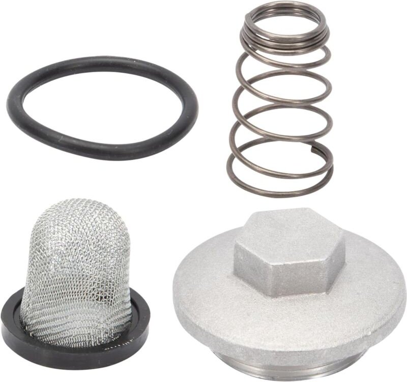 Lablassschraube für Motorrad-Roller, kompletter O-Ring + Filter + Feder für 50-150ccm GY6 Baotian Benzhou Znen Taotao, M...