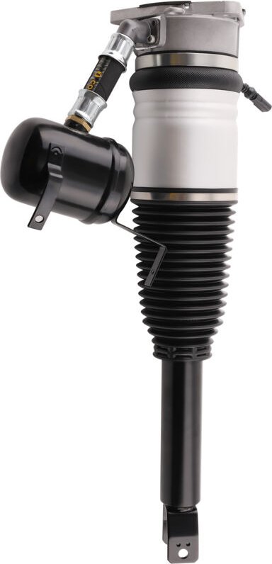 Federbein Hinten Rechts For Audi A8 D3 4E 4E2, 4E8 2002-2010 4E0616002M