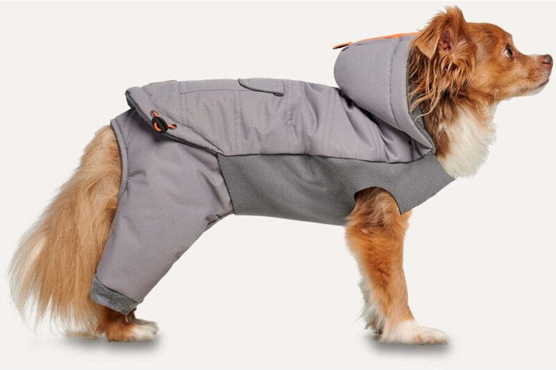 Gooeez kapuzen ganzkorper schneeanzug l hellgraugrau