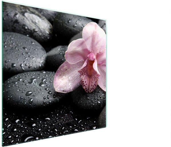 GLASSCHUTZPLATTE FÜR HERD 50x52 ORCHIDEE
