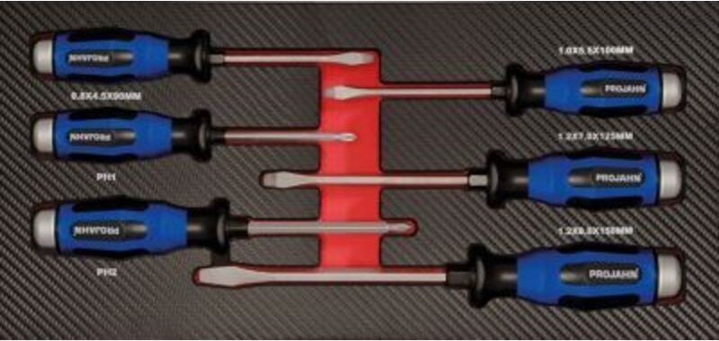Projahn Schraubendreher Einlage gemischt 6-tlg. mit durchgehender Klinge