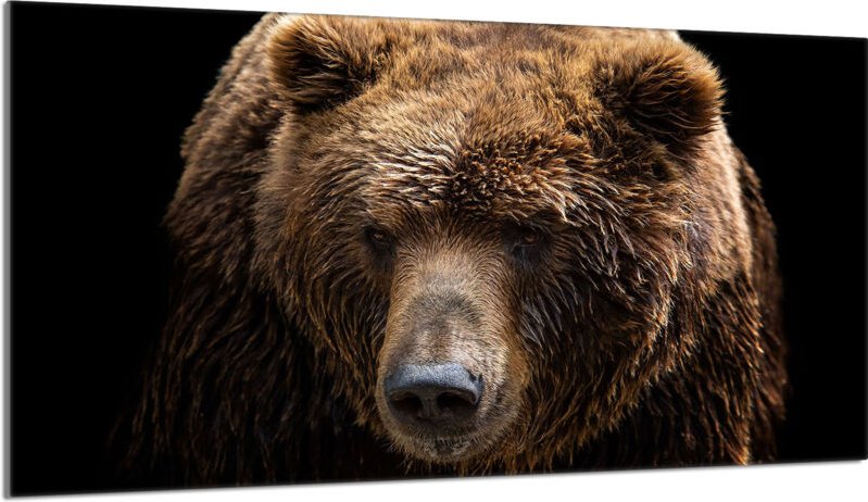 Glas-Herdplattenschutz 90x52 Teddybär