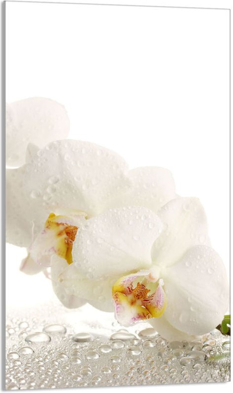 Glasschneidebrett 30x52 Orchidee