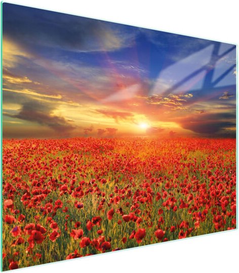 GLASSCHNEIDEBRETT 52x40 MAKI