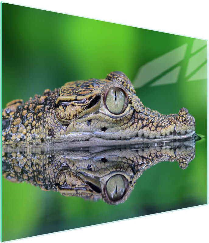 Glasschneidebrett 52x30 Krokodil
