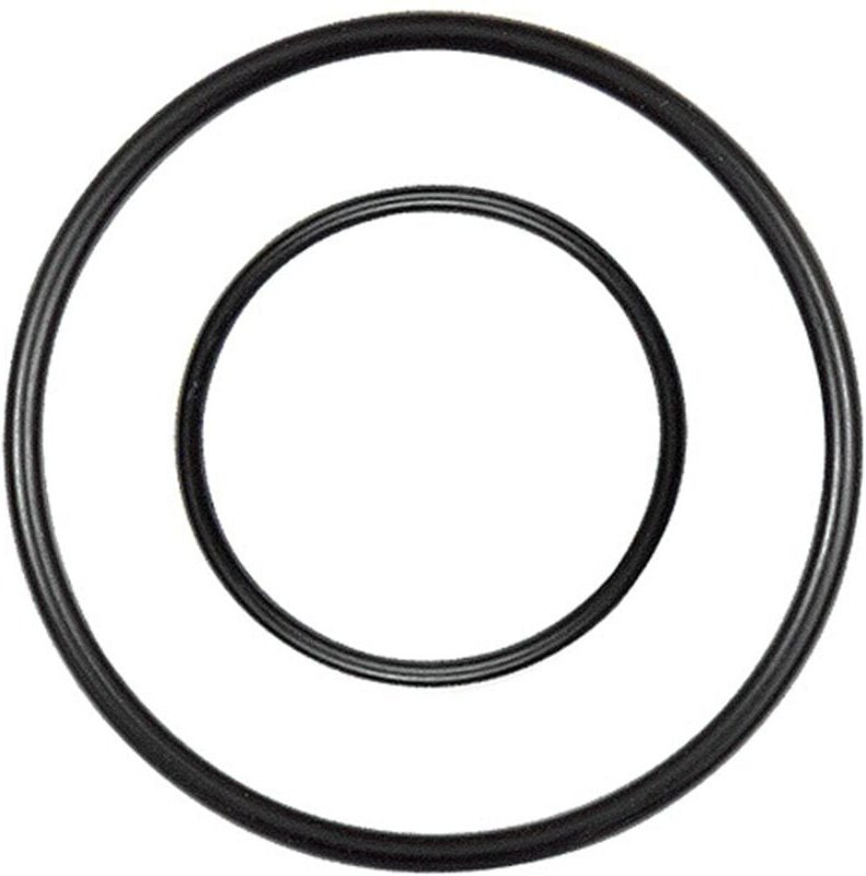 Ersatzdichtung für Edelstahl-Filter/Filterregler, bg 4 - Riegler