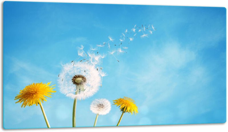 Glasschild Schneidebrett 52x30 Blumen