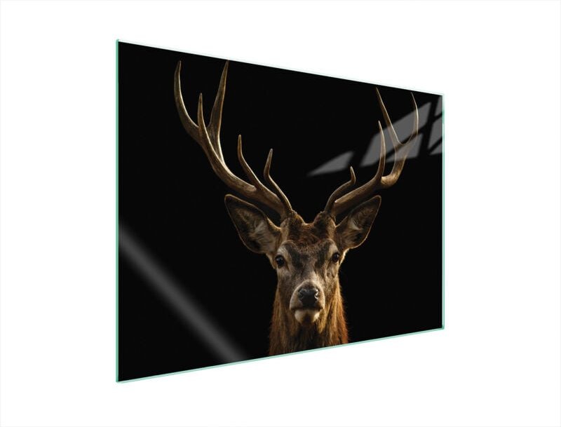 GLASSCHUTZPLATTE FÜR HERD 70x52 HIRSCH