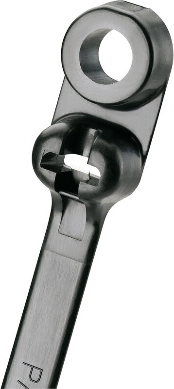 Panduit - BC2S-S10-C0 BC2S-S10-C0 Kabelbinder 216 mm 4.70 mm Schwarz mit Befestigungsöse 1 St.