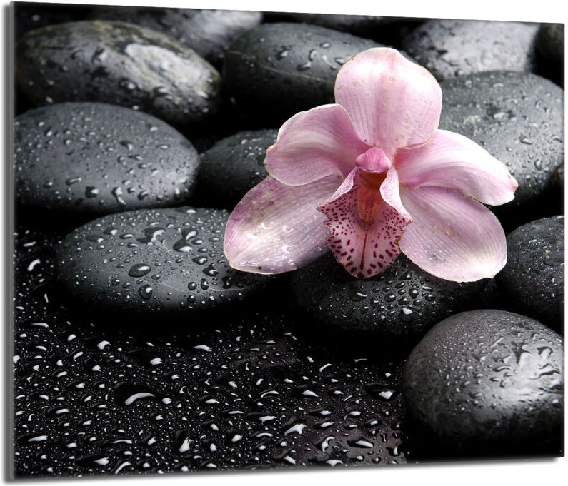 Glasschutzplatte für den Herd 60x52 Orchidea