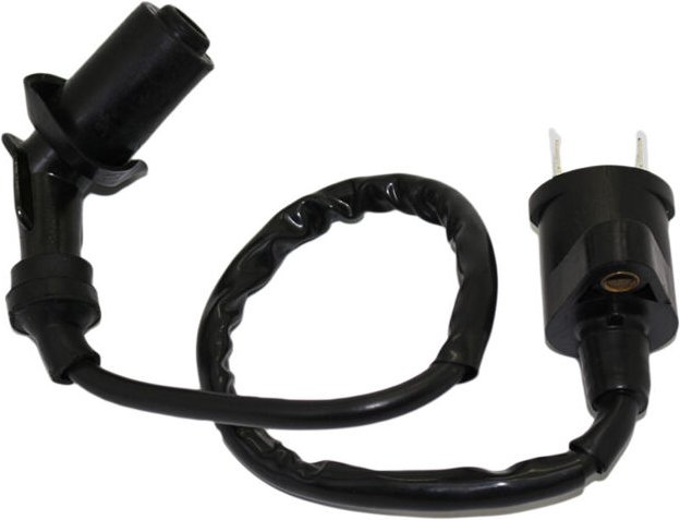 Zündspule für GY6 50cc-150cc Honda Taotao Kymco Scooter Moped Go Kart 120 Grad