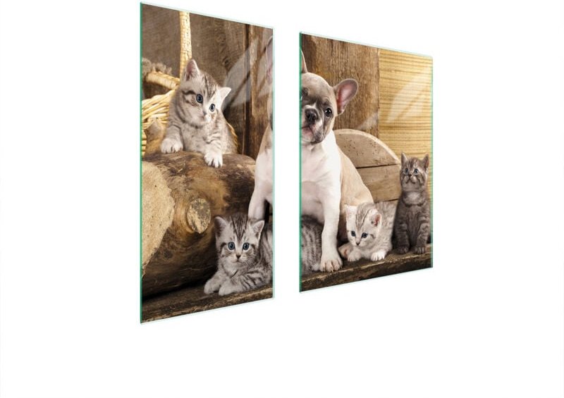 GLASSCHUTZPLATTE 75x52 HUND