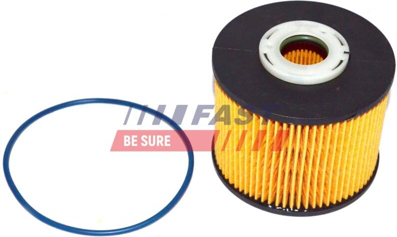 Kraftstofffilter Ft39077 Schnell