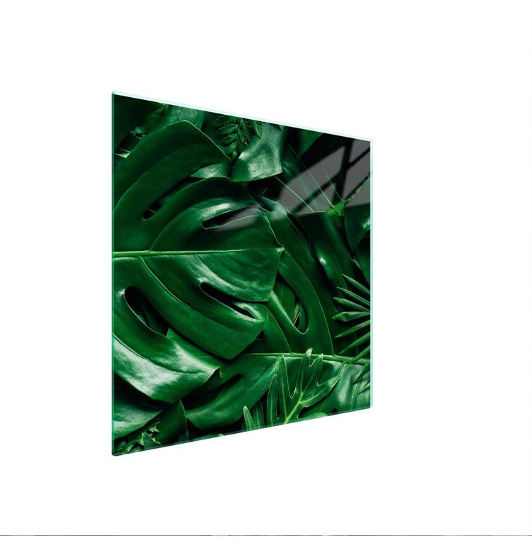 GLASSCHUTZPLATTE FÜR HERD 50x52 MONSTERA