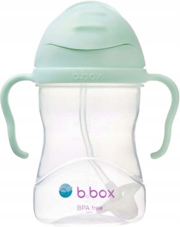 B.BOX Gelato Pistazie Flasche mit Strohhalm 240 ml 1 Stück