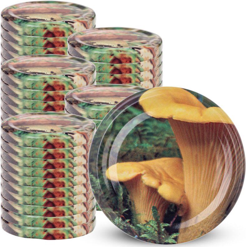 Deckel fi66er Pack 50 Stück Pilze Mix - Kadax