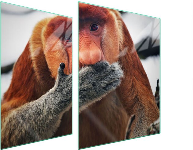 GLASSCHUTZPLATTE FÜR HERD 70x52 NOSACZ