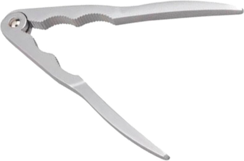 Erste verchromte Schalentierschale und Nussknacker r/ 8 – 80010