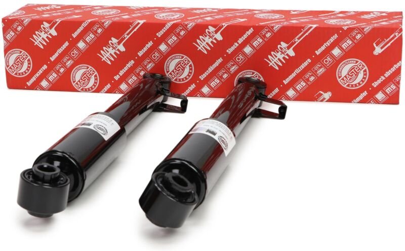 2 STOSSDÄMPFER hinten L+R HYUNDAI SANTA FE II (CM)