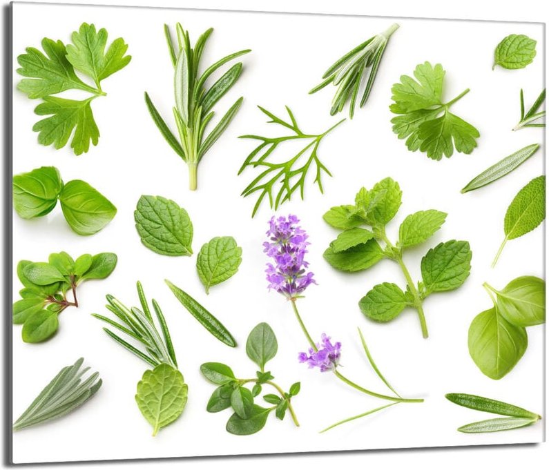 Glas-Herdplattenschutz 60x52 Pflanzen