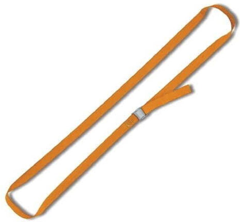 BETA SPANNGURT MIT GESCHLOSSENER SCHNALLE, POLYPROPYLEN, 200kg 5,0m 25mm