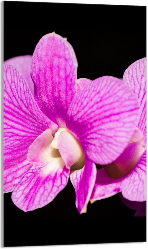 Glasschneidebrett 30x52 Orchidee