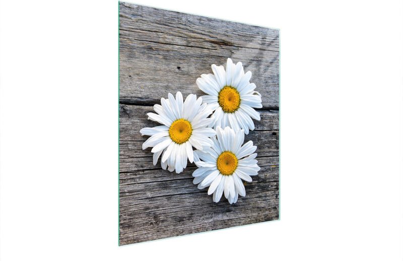 Glasschneidebrett 45x52 Daisy