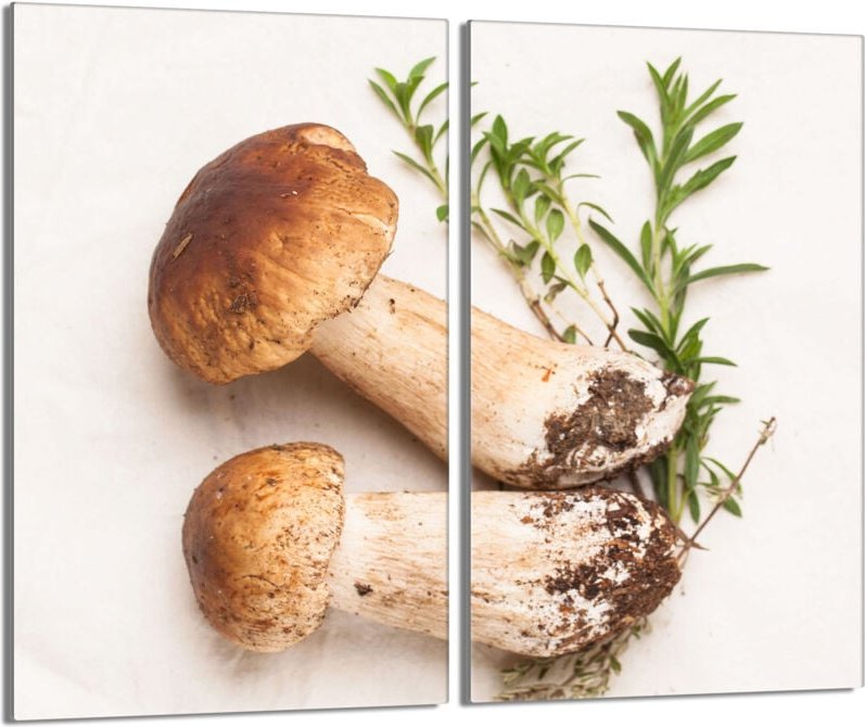 Glasschutzplatte für den Herd 2x30x52 Pilze