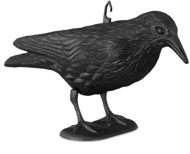Thumbnail - Perching crow bird repellent