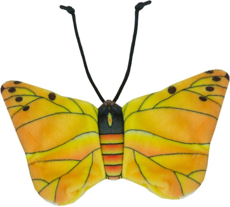 Wild life cat gelber schmetterling