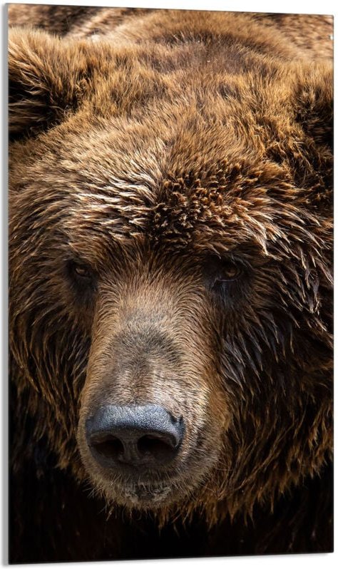 Glasschneidebrett 30x52 Teddybär