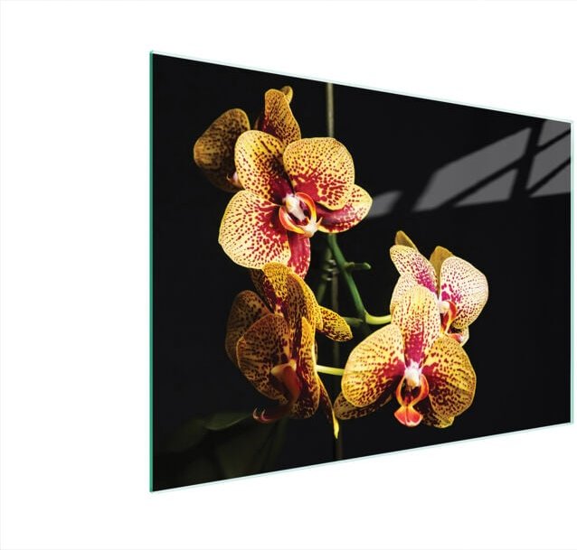 Glasschneidebrett 40x30 Orchidee