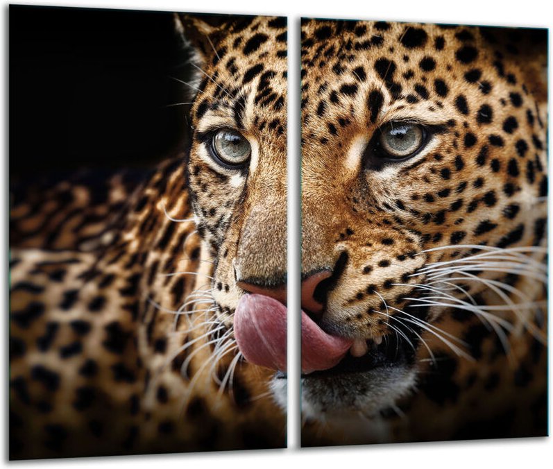 Glashakkungsbrett 2x 30x52 Tiger