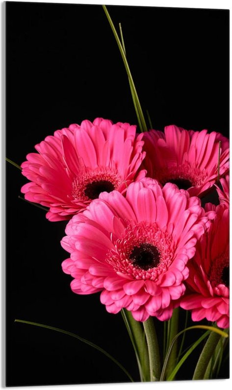 Glasschneidebrett 30x52 Gerbera