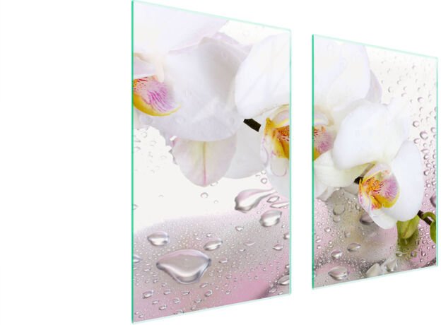 GLASSCHUTZPLATTE FÜR KÜCHE 65x52 ORCHIDEE