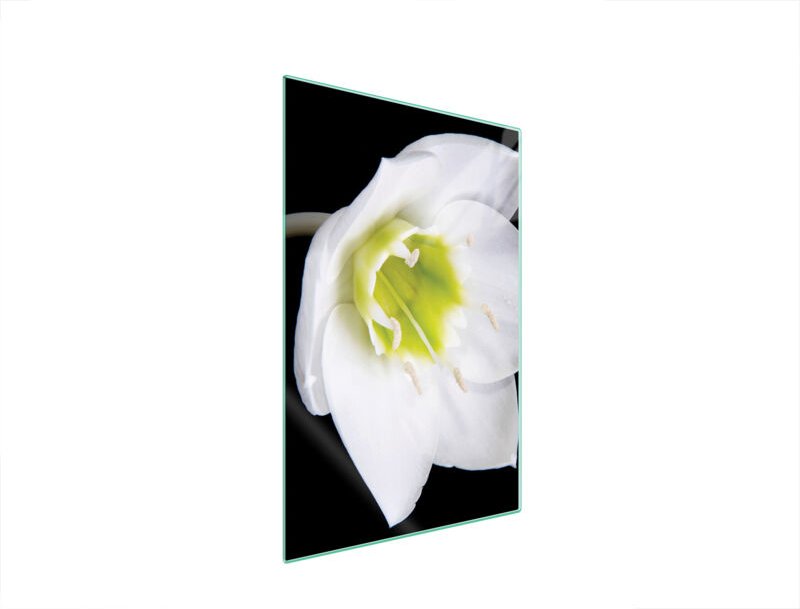 Glasschneidebrett 35x52 Orchidee
