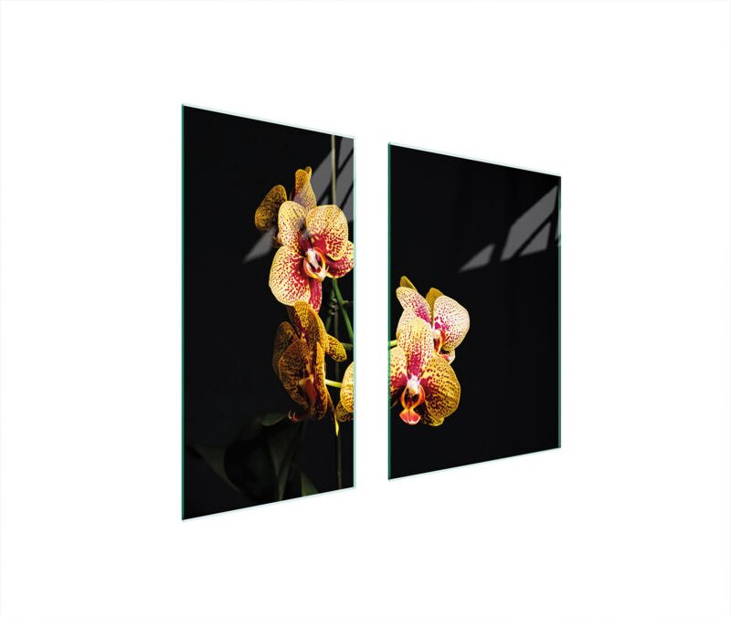 Glasschutzplatte 75x52 Orchidee