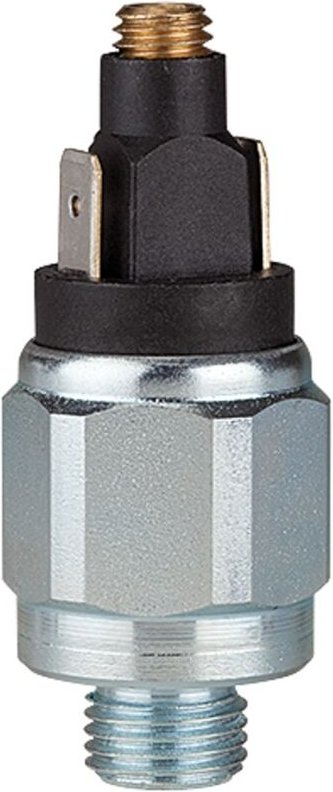 Druckschalter, Standard, Stahl verz., g 1/8, 1-10 bar, Schließer - Riegler