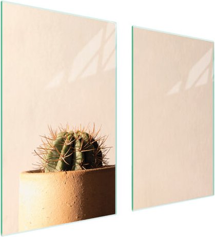 GLASSCHUTZPLATTE FÜR HERD 75x52 CACTUS