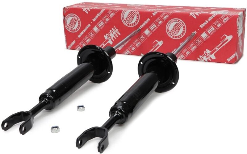 Stoßdämpfer vorne AUDI A6 C6 (4F2) / Avant (4F5)