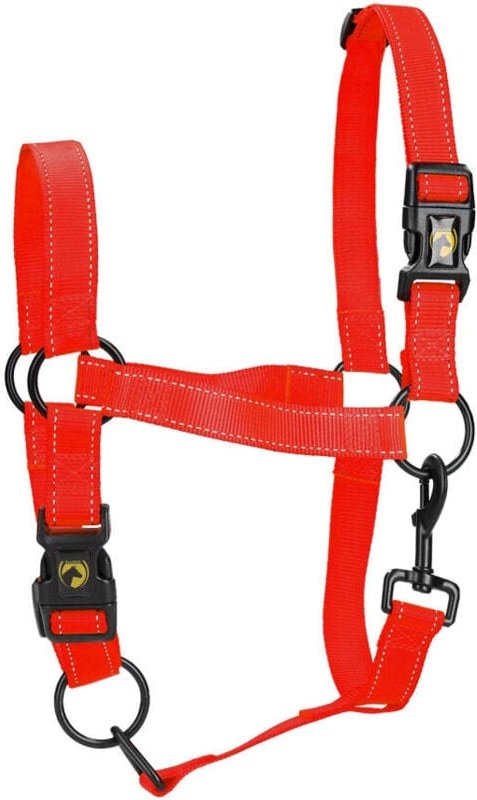 Excellent horse premium halfter l cob red