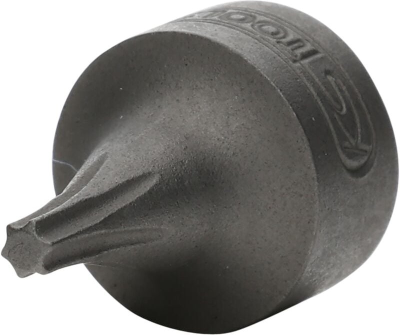 1/4" Bit-Stecknuss Torx, T10, extra kurz