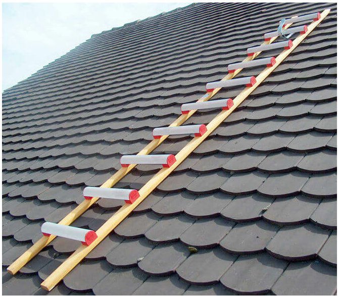 Dachleiterhaken - 55002