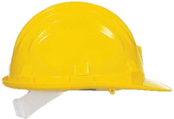 Kinnriemen - Idrhaus