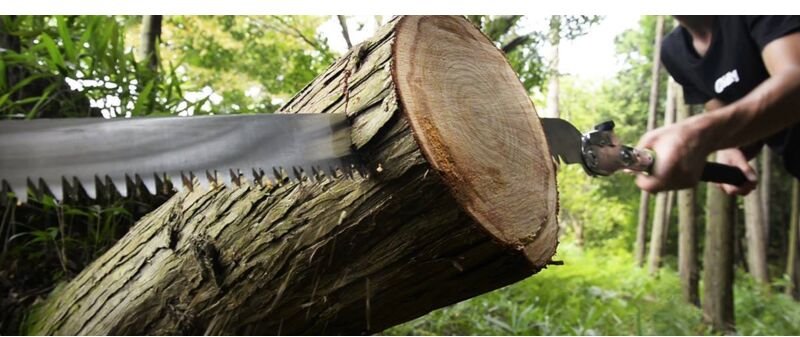 Thumbnail - Ersatzsägeblatt für Katana 500-5 grob (404-50) - Silky