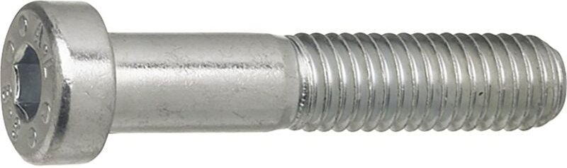 Zylinderschrauben mit niedrigem Kopf M6x40 Zylinderkopfschrauben Innensechskant DIN7984, Stahl verzinkt - 250 Stück