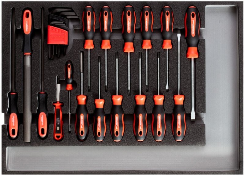 R22350002 Werkzeugsatz Schraubendreher + Feilen CT-Modul 26-teilig