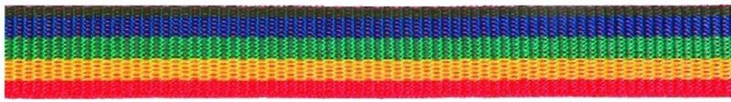 Posamo - pösamo Gurtband mehrfarbig 25,0mm Ro.100m (250x110) 100 Stk